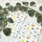 Lot de 6 grandes lingettes lavables